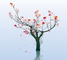 1203 Tree